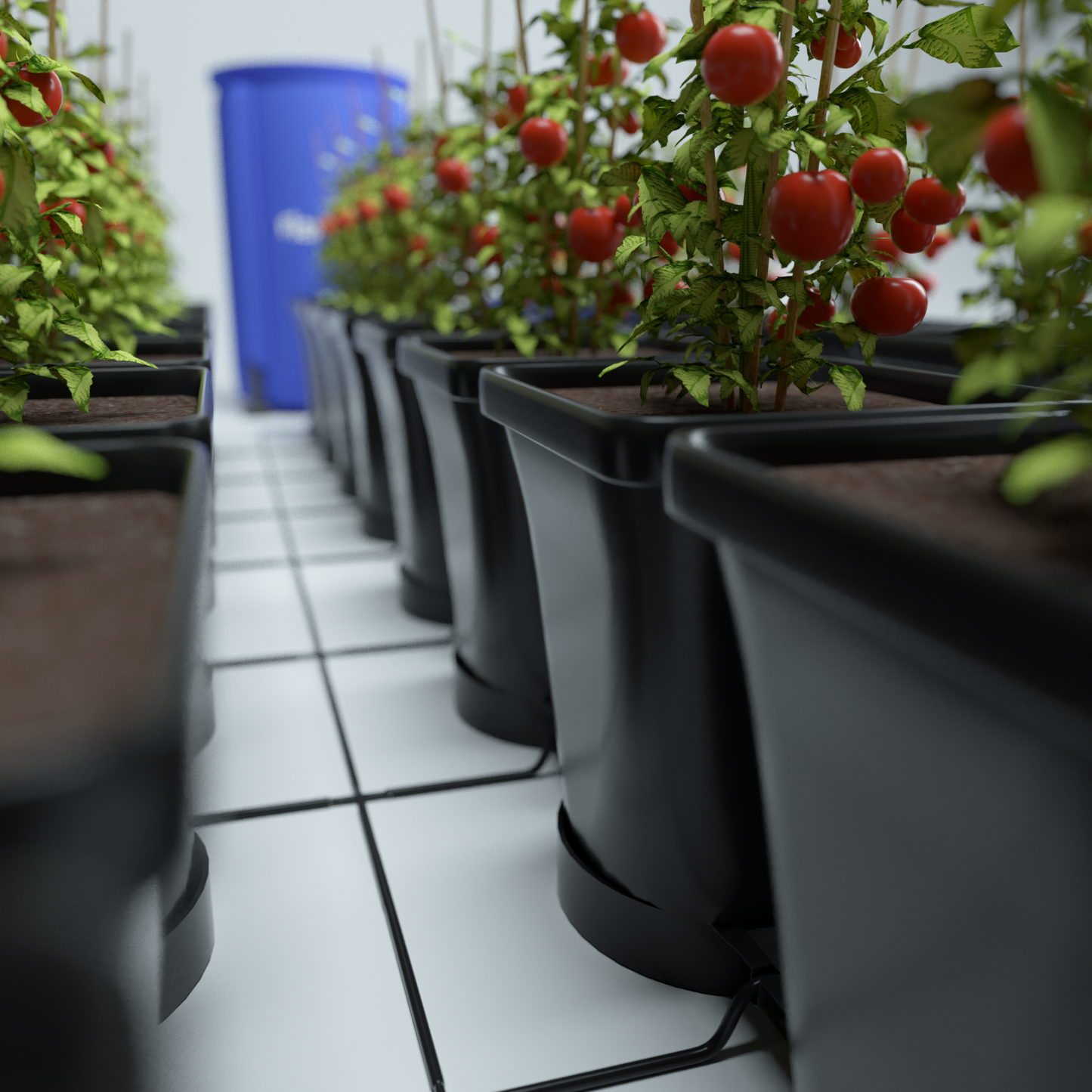 AutoPot 1Pot XL Plant Watering System with AQUAvalve5: Versatile, Expandable Irrigation for Flowering Plants and Shrubs