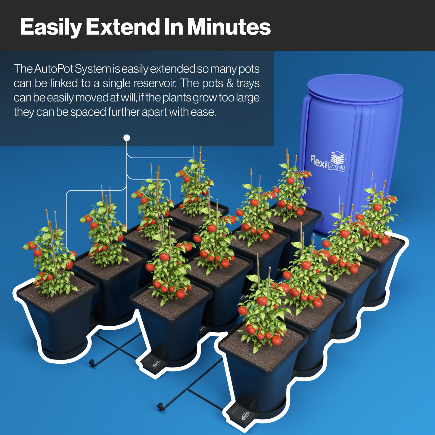 AutoPot 1Pot XL Plant Watering System with AQUAvalve5: Versatile, Expandable Irrigation for Flowering Plants and Shrubs