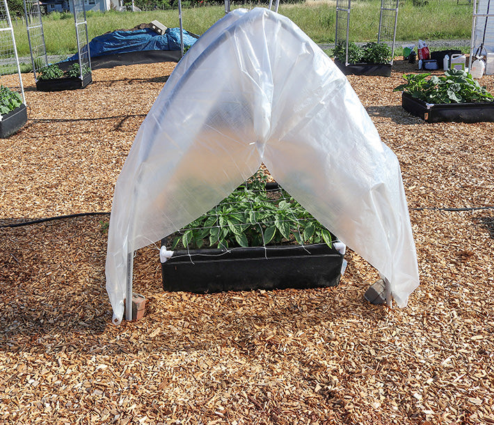 Non-Woven Poly - CUSTOM: 6 Mil-Diffused