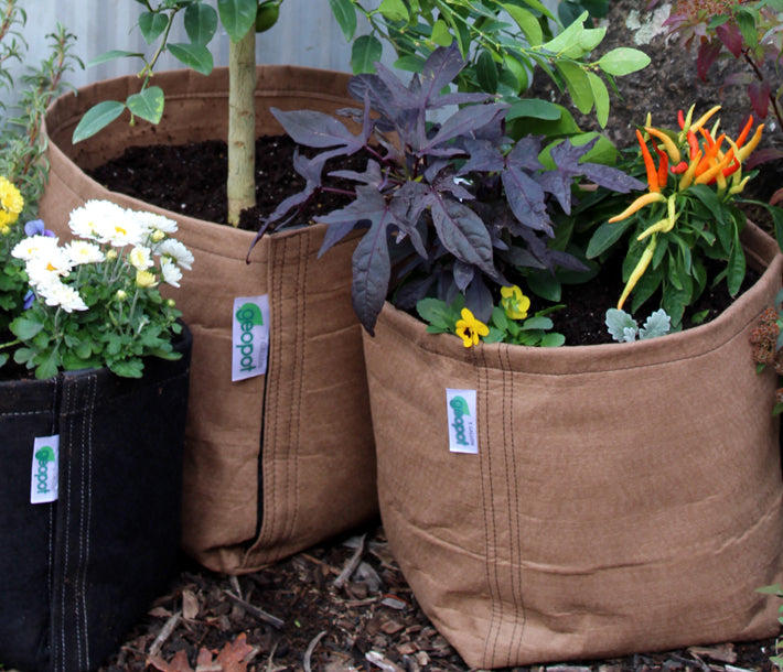 GeoPot Fabric-Pot Black