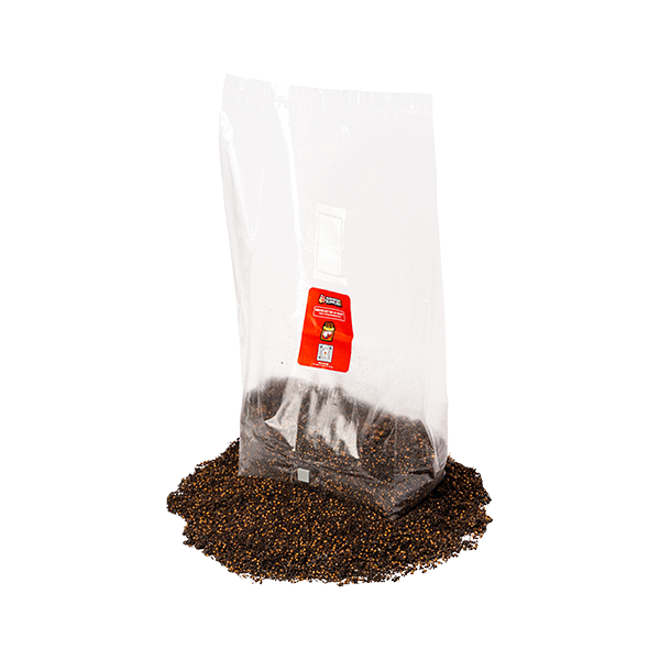 MushroomSupplies Grow Kit In-A-Bag - 5 LB