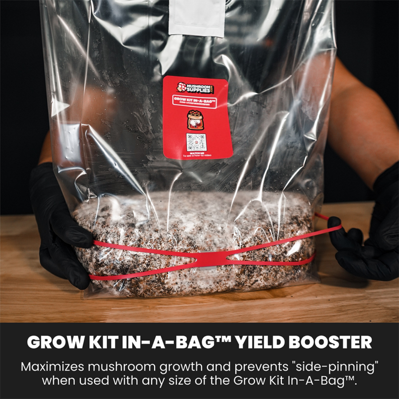 MushroomSupplies Mycomultiplier™ Yield Booster - 5 CT