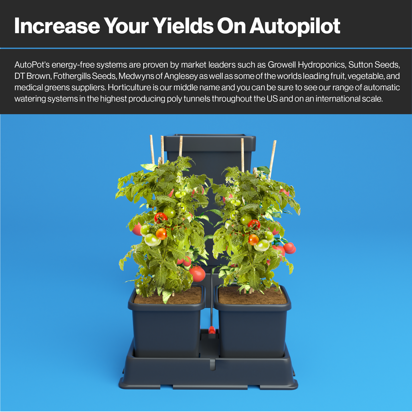 AutoPot Easy2Grow Automatic Plant Watering System: Versatile, Low-Maintenance Irrigation for Gardens, Greenhouses, and Poly-Tunnels