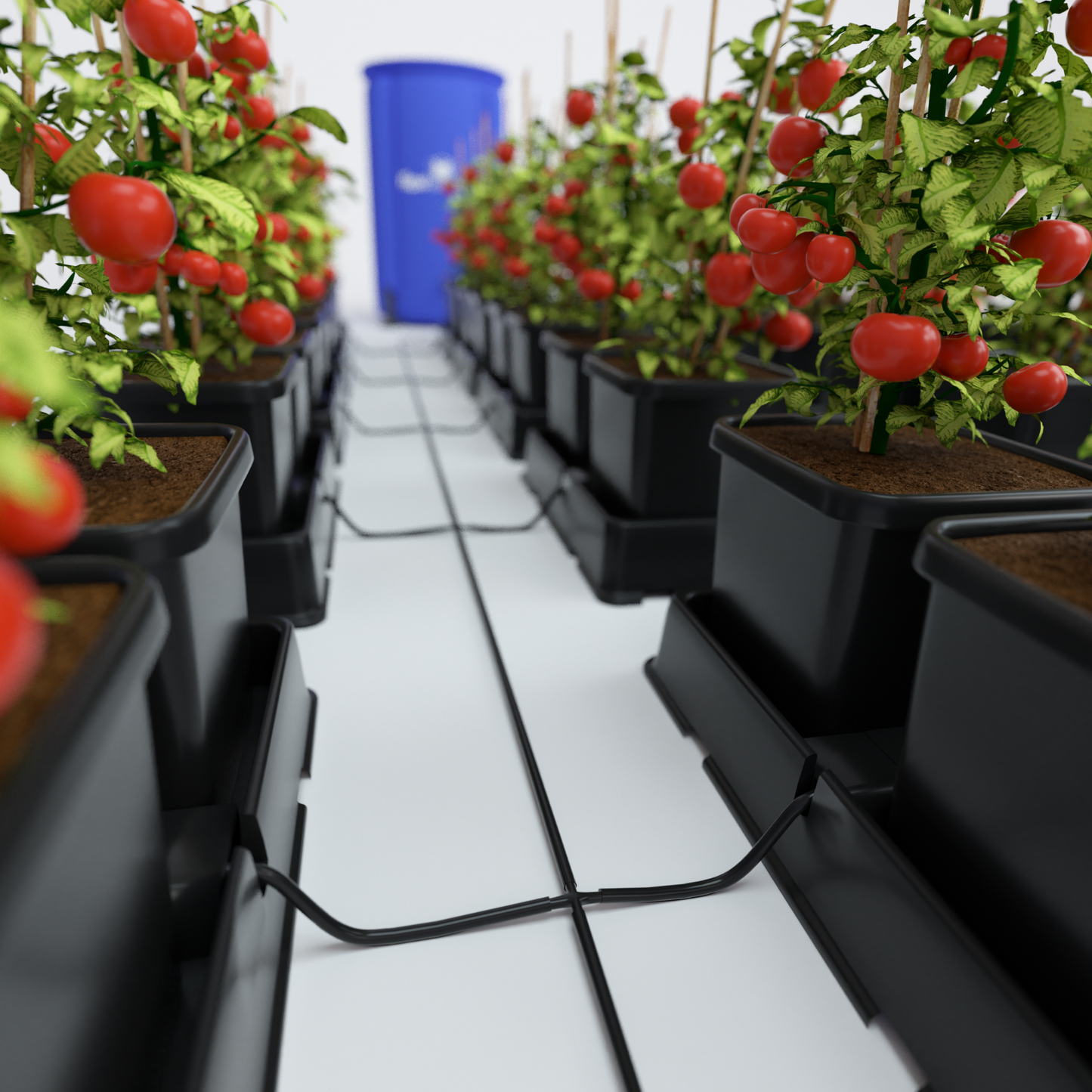 AutoPot Easy2Grow Automatic Plant Watering System: Versatile, Low-Maintenance Irrigation for Gardens, Greenhouses, and Poly-Tunnels