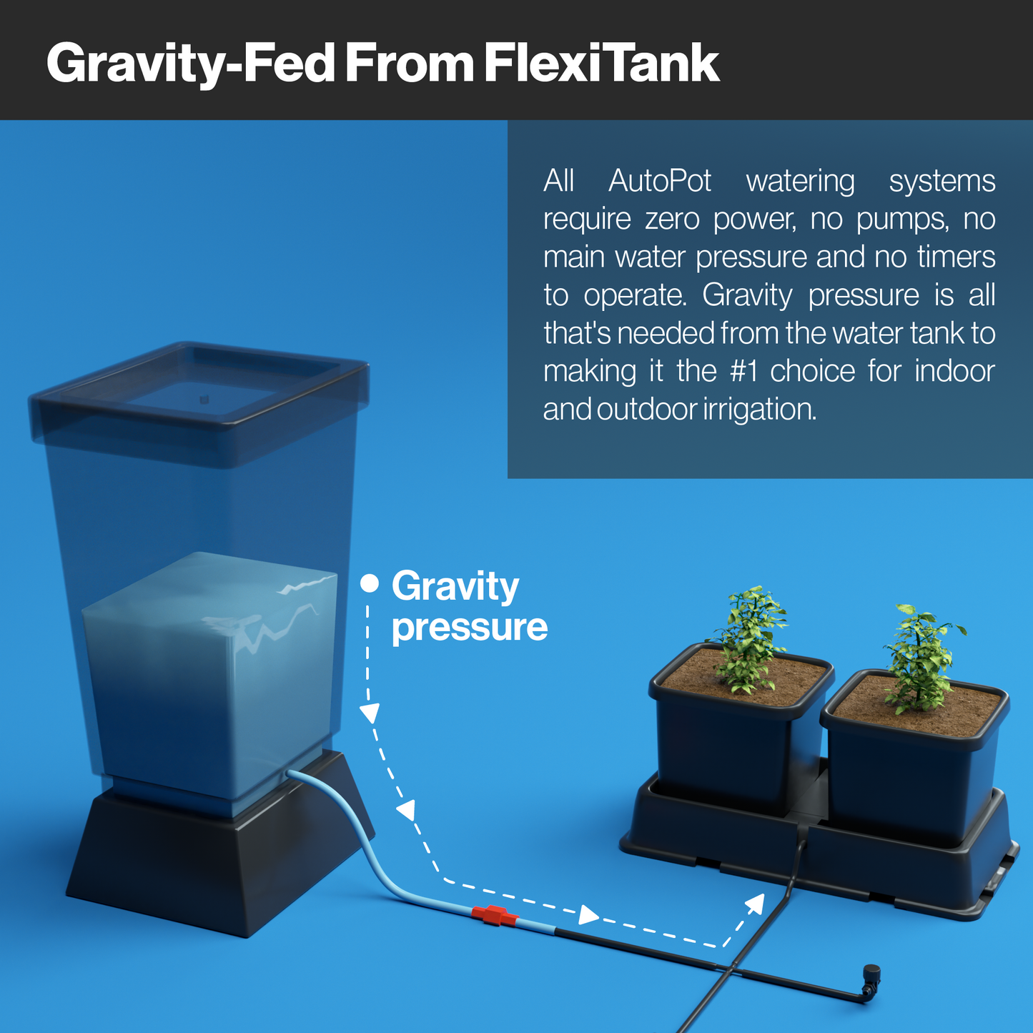 AutoPot Easy2Grow Automatic Plant Watering System: Versatile, Low-Maintenance Irrigation for Gardens, Greenhouses, and Poly-Tunnels