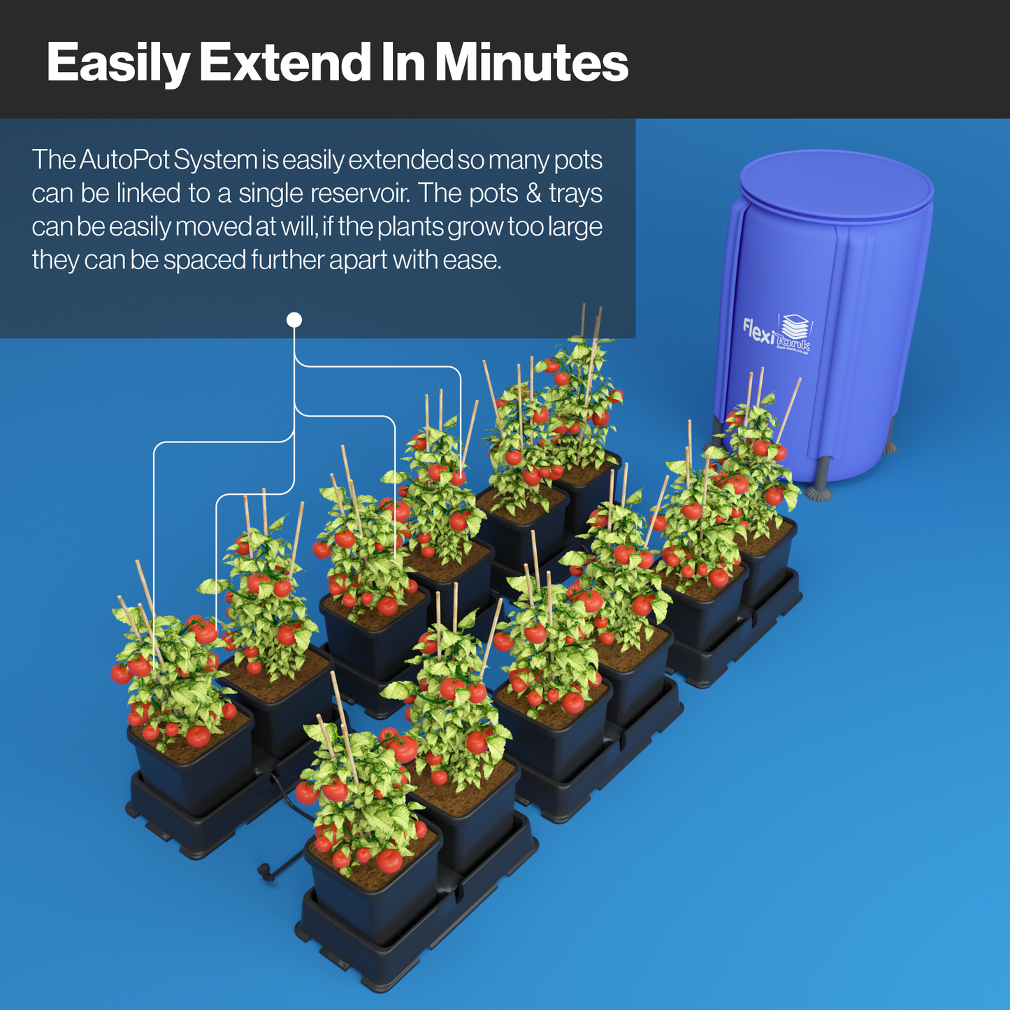 AutoPot Easy2Grow Automatic Plant Watering System: Versatile, Low-Maintenance Irrigation for Gardens, Greenhouses, and Poly-Tunnels