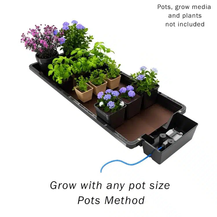 Tray2Grow: Versatile Automated Plant Feeding System for Seed Trays, Microgreens, and Container Gardening