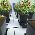AutoPot 1Pot Modular Plant Watering System: Scalable, Automated Irrigation for Gardens, Greenhouses, and Polytunnels