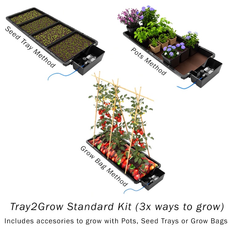 Tray2Grow: Versatile Automated Plant Feeding System for Seed Trays, Microgreens, and Container Gardening